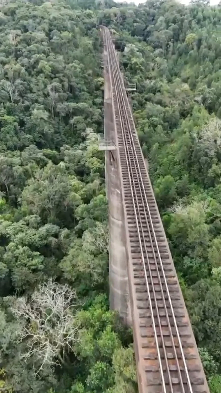 Trecho ferroviário da Serra do Cadeado atrai adeptos de trekking e ciclismo